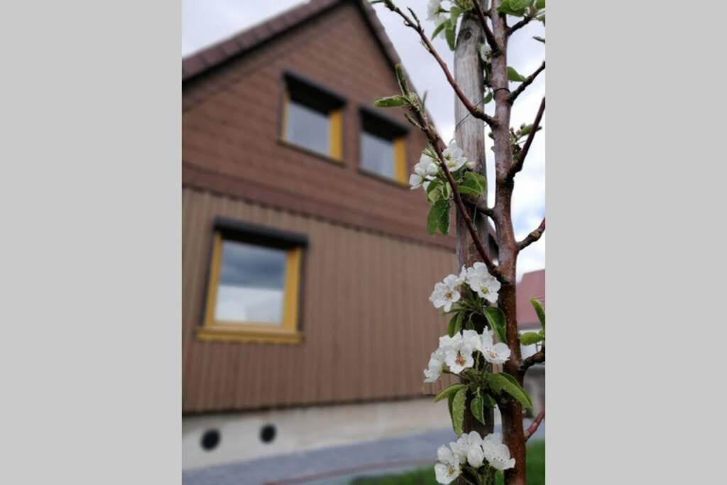 Вилла Harzhaus Ida Эльбингероде Экстерьер фото